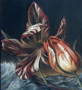 Marine Tulips
